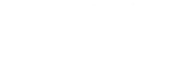 Official Partner 3