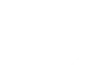 Official Partner 4