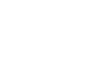 Official Partner 5