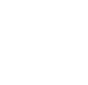 Official Partner 6