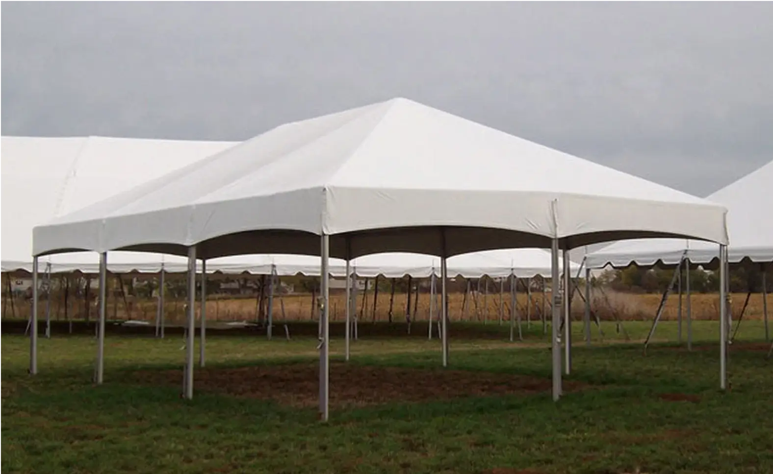 Carpa De Estructura 20x30 4